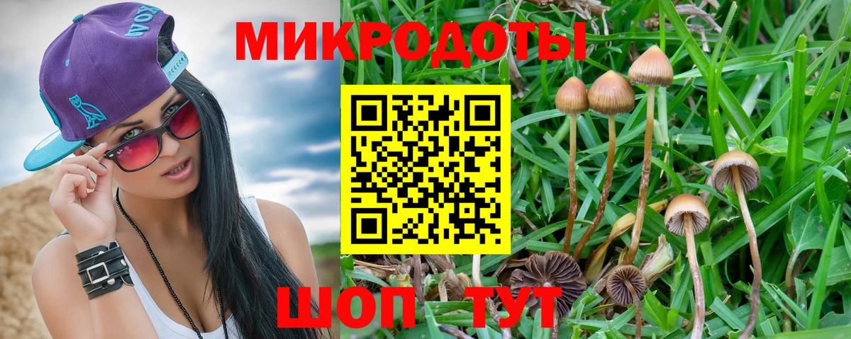 Псилоцибиновые грибы ЛСД  Псилоцибиновые грибы Magic Shrooms  Вход с VPN  Тихвин 
