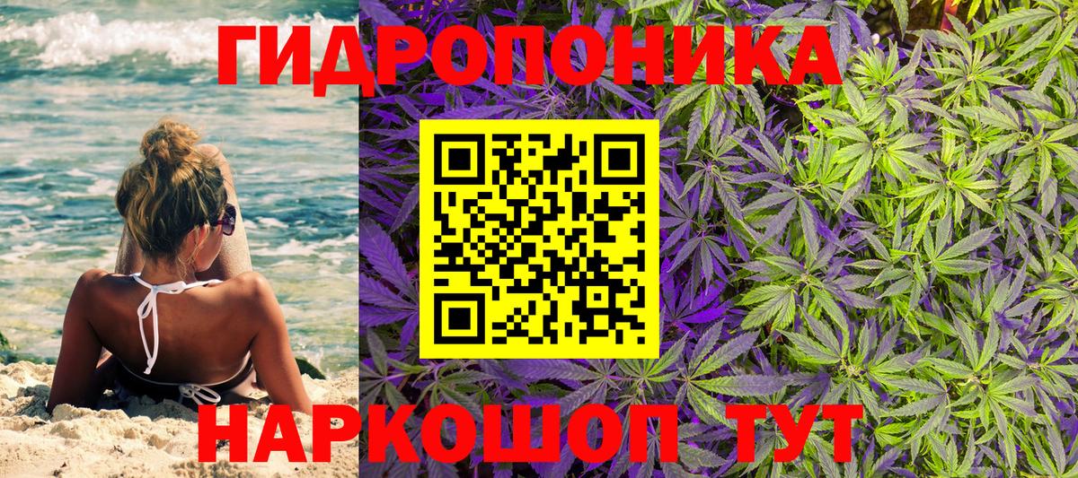 Бошки Шишки семена  Вход с VPN  Тихвин  Марихуана Ganja  Каннабис планчик 